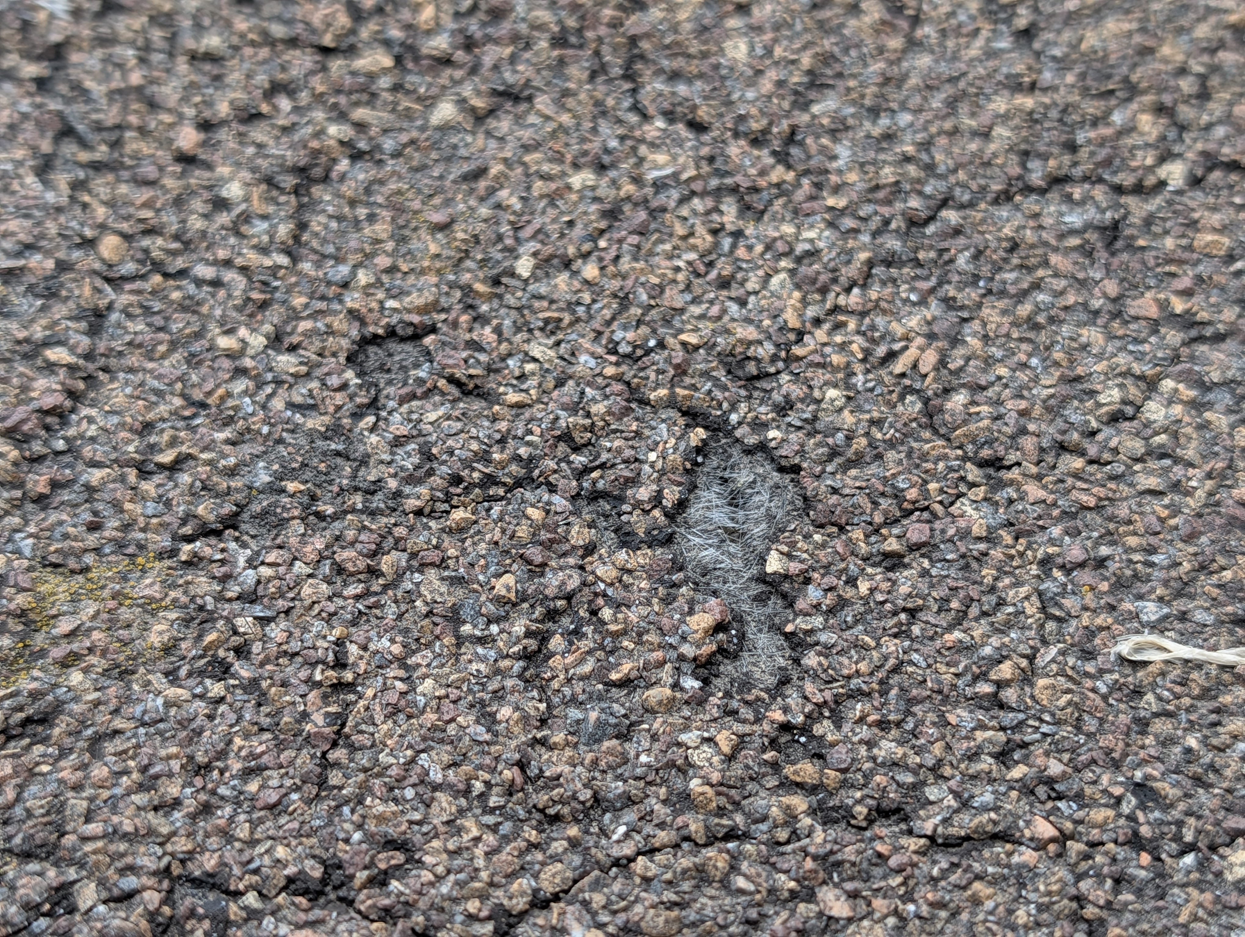 Hail damage to roof shingles